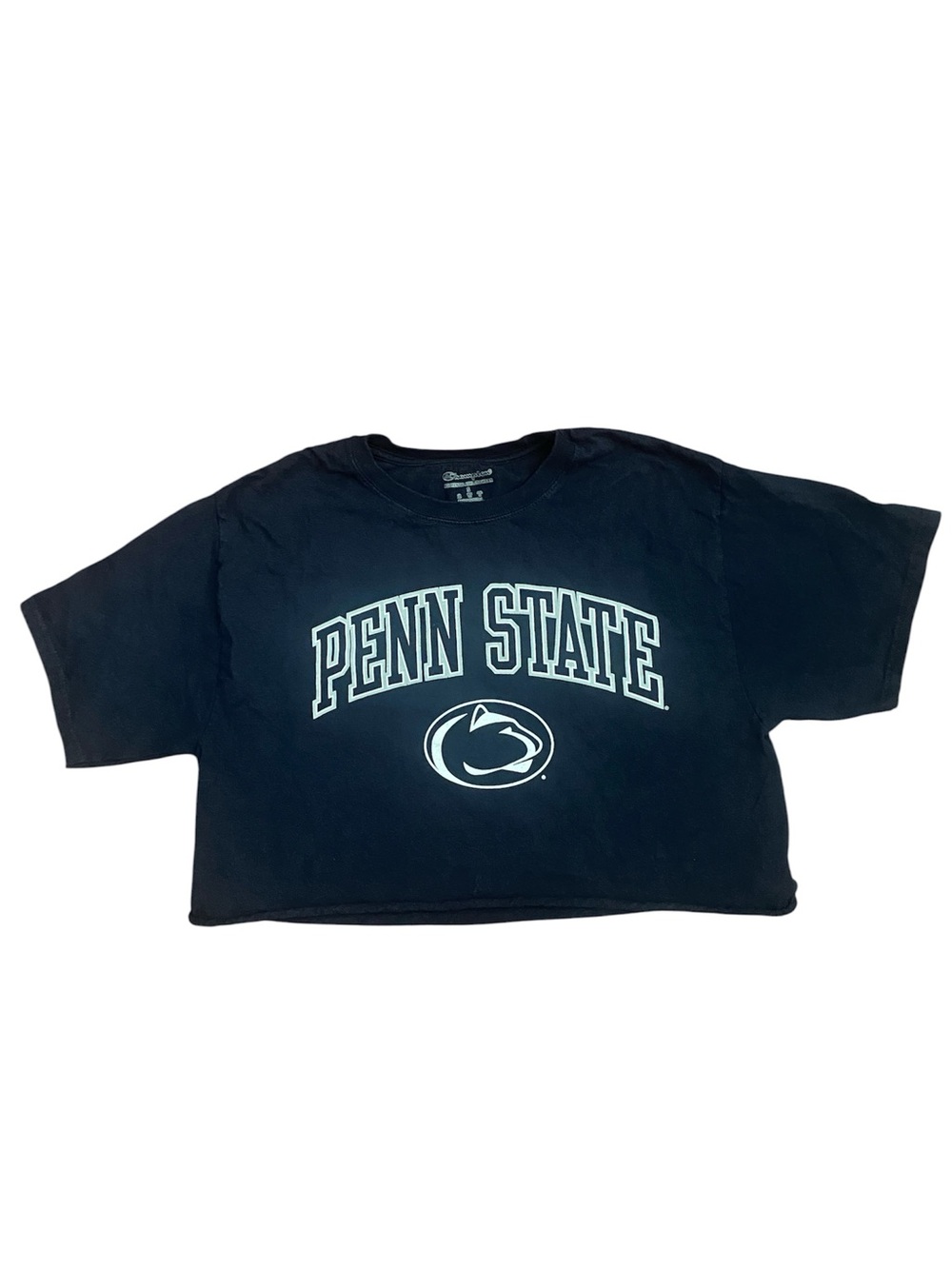 Champion Navy Blue Penn State Crop Top Tee